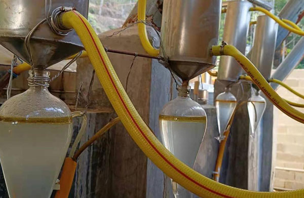 Agarwood Oil Distillation