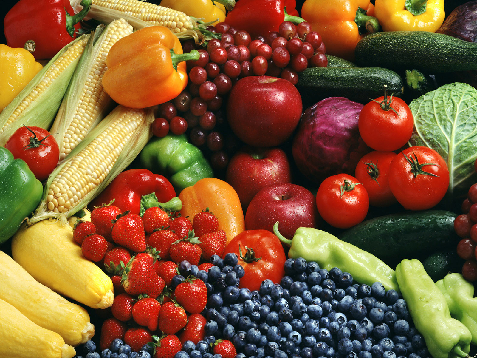 Colorful harvest basket showing nutrient-dense regeneratively grown produce