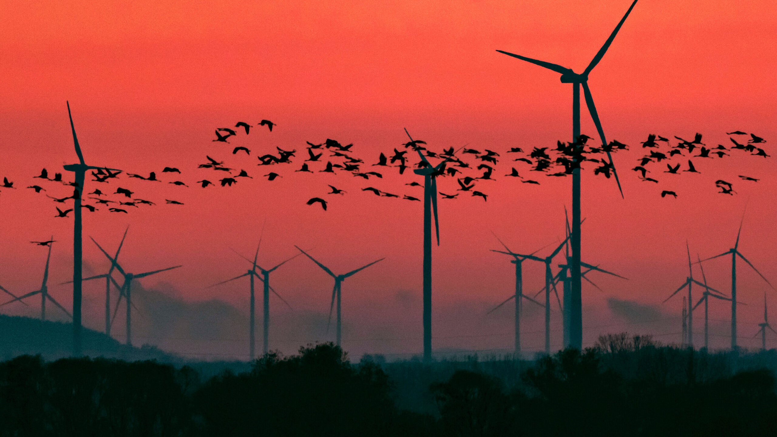 Drought-affected farmland showing the climate impacts of conventional agriculture