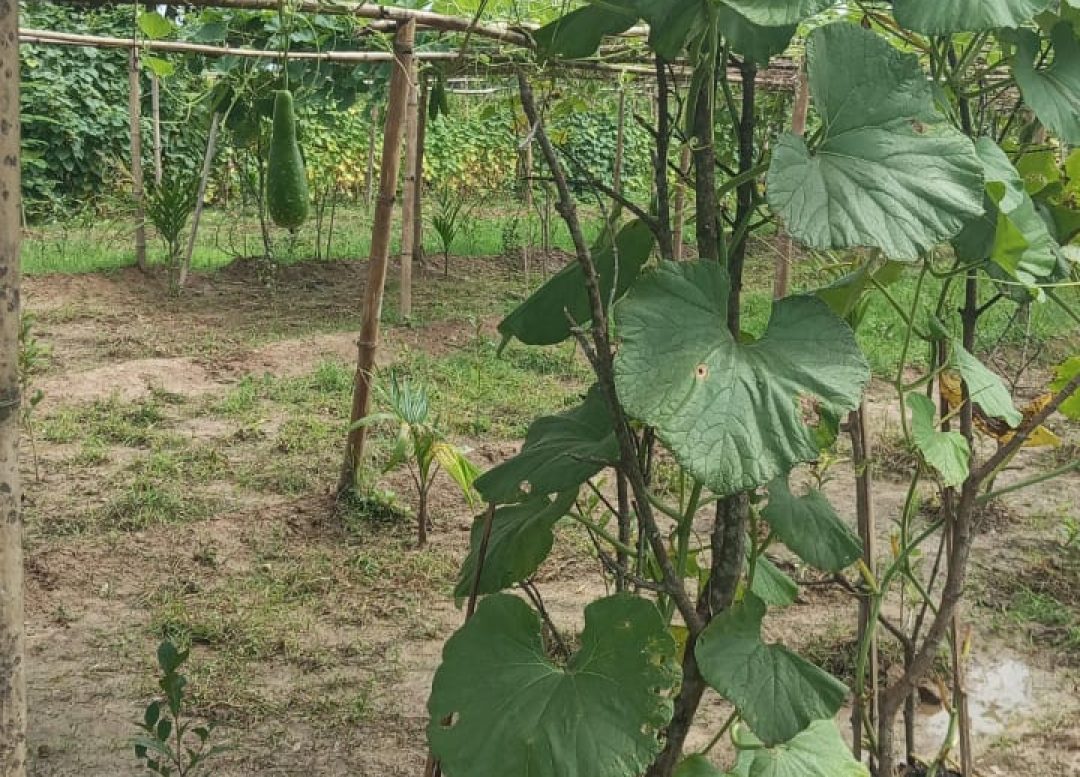 WhatsApp Image 2025-08-28 at 4.20.44 PM (2)