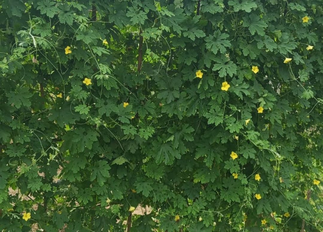 WhatsApp Image 2025-08-28 at 4.20.44 PM